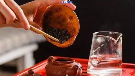 '如何使用保杯泡制普洱茶？保杯是否适合泡普洱茶？'