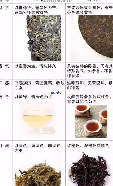 普洱茶生和熟的泡法有区别吗？它们之间有什么不同？