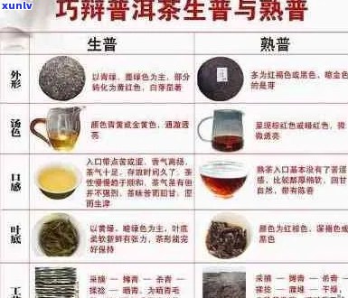 探索普洱茶：生茶与熟茶的泡法秘诀，让你品尝出不同风味！