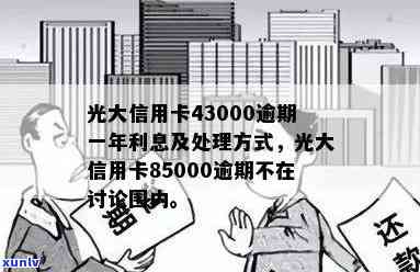 老式帕敢翡翠原石：购买、鉴别、保养与收藏全攻略