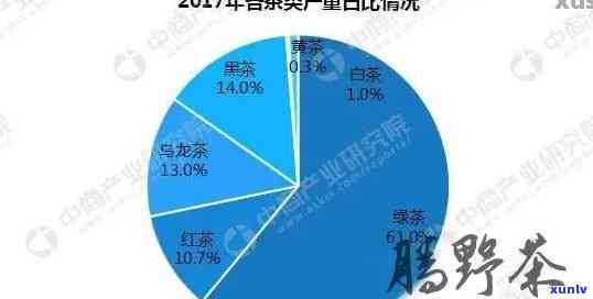 五星级普洱茶：品质保证与市场热门全面对比分析