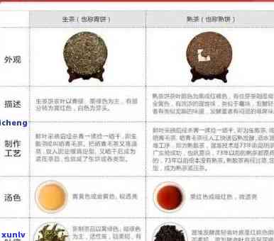 全面解析： 普洱茶中的五星品质是如何确立的？