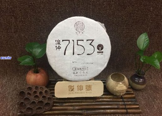 俊仲号普洱茶：品质越，茶香四溢的官方网站