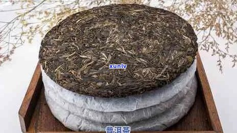 友誉普洱茶饼的价格范围以及如何选择合适的购买渠道