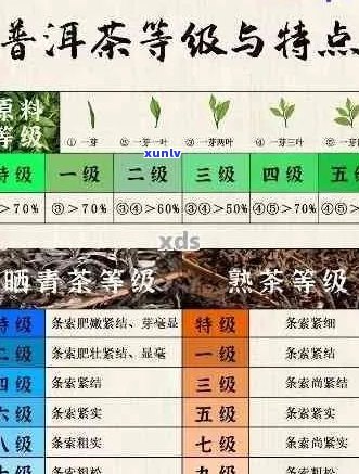 普洱茶芽头的品质鉴别与欣：从外观、香气、口感等方面全面解读