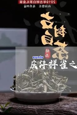 庆沣祥普洱茶月之韵：古树茶香品茗典，茶文化传承之旅