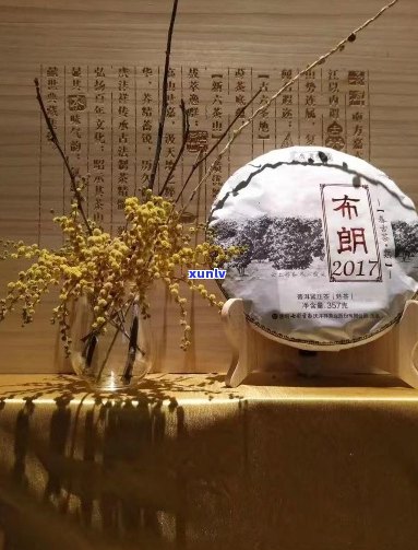 庆沣祥普洱茶月之韵：古树茶香品茗典，茶文化传承之旅