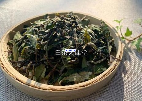 如何正确保存古树普洱散茶以保持其品质和风味？