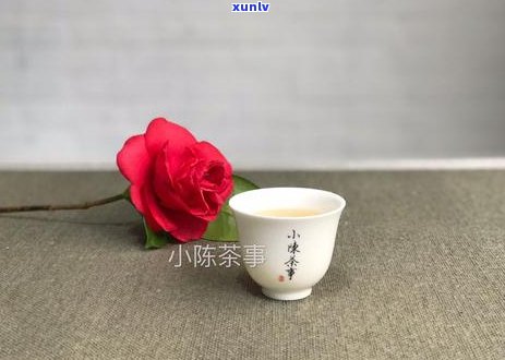 如何正确保存古树普洱散茶以保持其品质和风味？