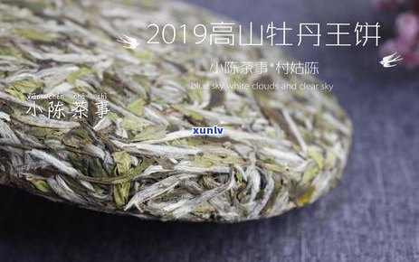 如何正确保存古树普洱散茶以保持其品质和风味？