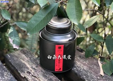 如何正确保存古树普洱散茶以保持其品质和风味？