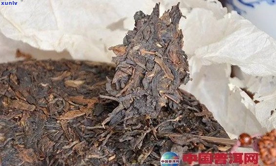 普洱茶能治什么病：真实案例与作用探讨