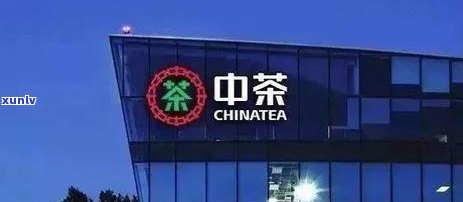 中茶五大金刚的价格分析：投资价值与市场趋势探讨