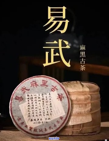 易武麻黑普洱茶：品质、种类与价格指南