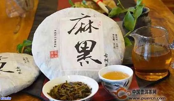 易武麻黑普洱茶：品质、种类与价格指南