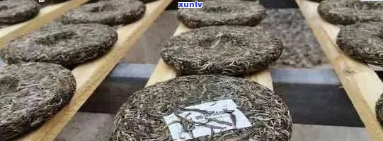 八年陈普洱茶：品质如初还是日渐衰减？解析判断与保存建议