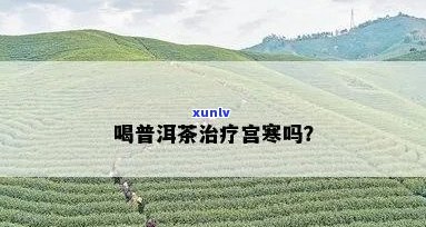 宫寒症状与普洱茶：喝普洱茶是否有助于缓解宫寒？