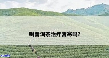 宫寒与普洱茶：饮用的适宜性以及可能的影响