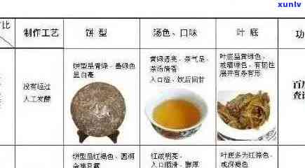 洱沱茶全方位解析：价格、品种、功效与泡法一览无余