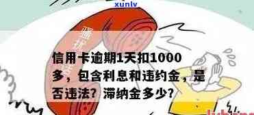 芦溪县信用卡逾期还款困扰，一千多元待偿金成负担