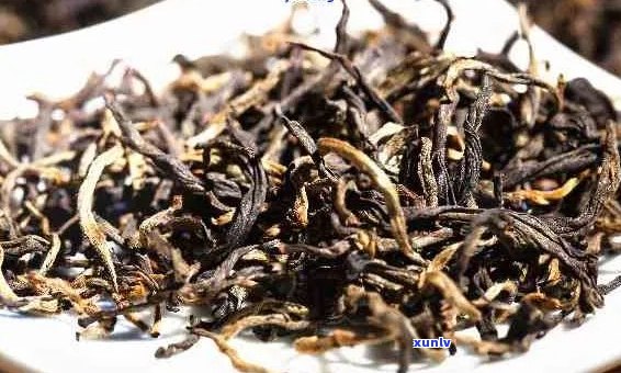 散装普洱茶价格参考：每斤XX元，品质与口感如何？