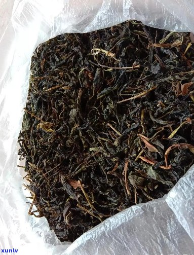 散装普洱茶价格参考：每斤XX元，品质与口感如何？