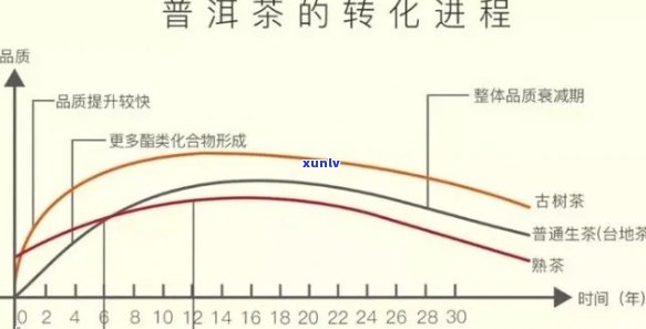 普洱茶三年的转化期