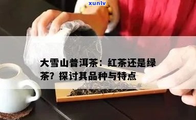 新 '大雪山普洱茶中的绿色食品添加剂：一种健的选择'