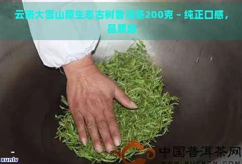 新 '大雪山普洱茶中的绿色食品添加剂：一种健的选择'