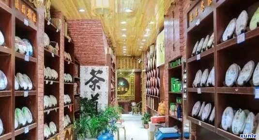 普洱茶专营店全方位评价：品质、价格、服务一应俱全，想知道更多来这里！