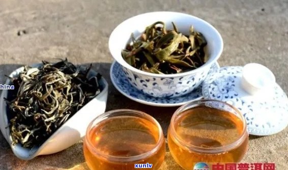 普洱茶搭配什么喝更好？新普洱茶搭配大全，让你的口感更上一层楼！