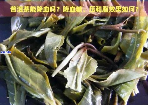 普洱茶降三高吗帮查一下，能否降低高血压、高血脂和高血糖？