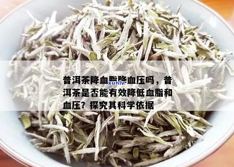 普洱茶对高血压、高血脂和高血糖的降压作用及其科学依据是什么？