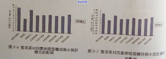 普洱熟茶：降血糖的神秘力量与健效益探究