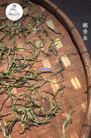 普洱茶国际贸易中心：专业进出口公司，茶叶行业领导者