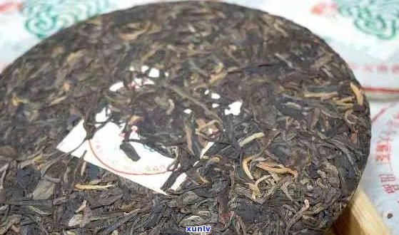 出口普洱茶批发价格