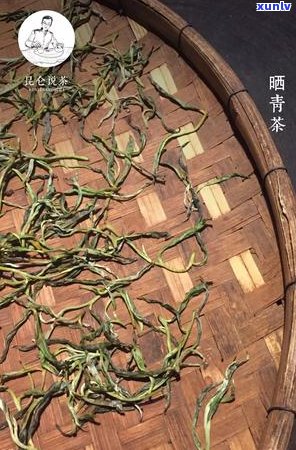 普洱茶国际贸易中心：专业进出口公司，茶叶行业领导者