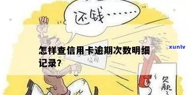 怎么查看信用卡逾期次数记录？