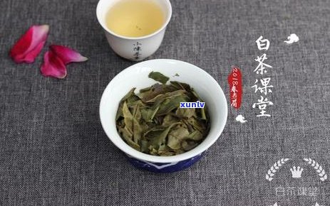 普洱茶六大产地：东西南北差异解析