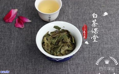 普洱茶六大产地：东西南北差异解析