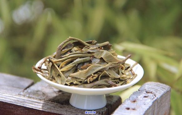 昆明市普洱茶产业化