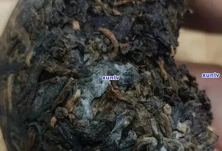 普洱茶长毛了怎么办？如何处理发霉普洱茶？