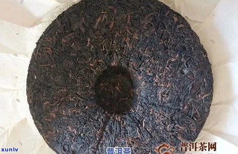 普洱茶纸包装出现虫害问题：如何保障茶叶品质与消费者健？