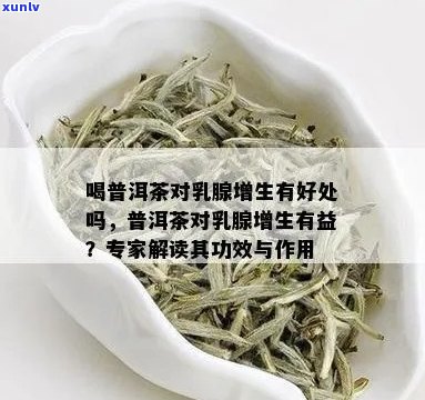 普洱茶对乳腺癌的预防和治疗作用及注意事项