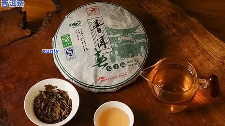 日春普洱茶：品质特点、口感评价以及选购指南，一文解答你所有疑问