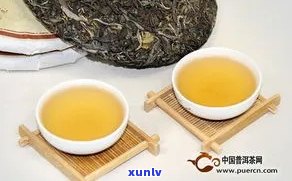 日春普洱茶：品质特点、口感评价以及选购指南，一文解答你所有疑问