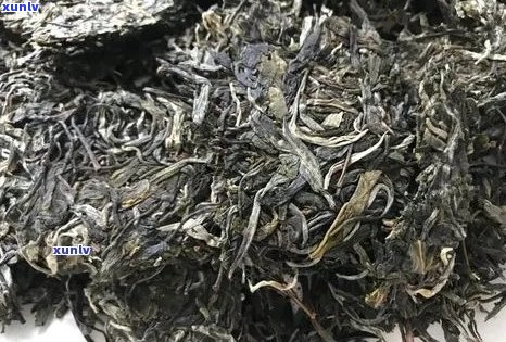 日春普洱茶：品质特点、口感评价以及选购指南，一文解答你所有疑问