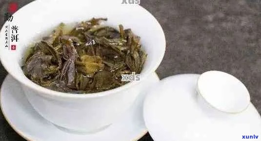 8克普洱茶的泡茶水量计算 *** 及冲泡技巧全面解析