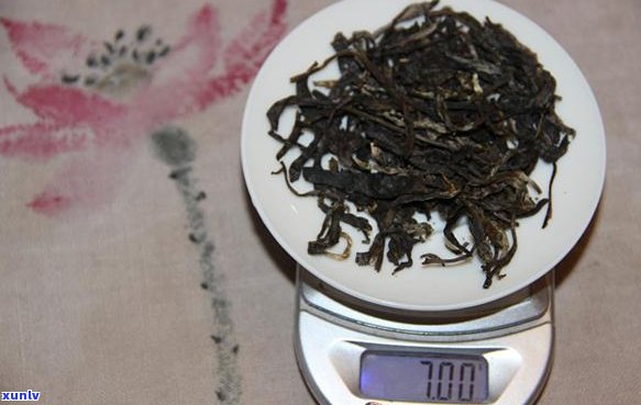 普洱茶9克能泡几泡