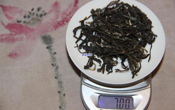 普洱茶9克能泡几泡